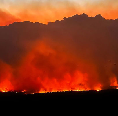 Maui brennt - Lahaina is gone