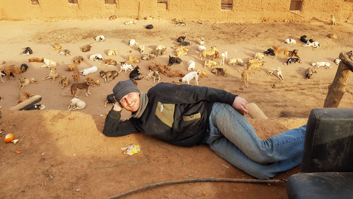 Auf Ayur's Spuren in Marokko: Tierheim mit 700 Hunden