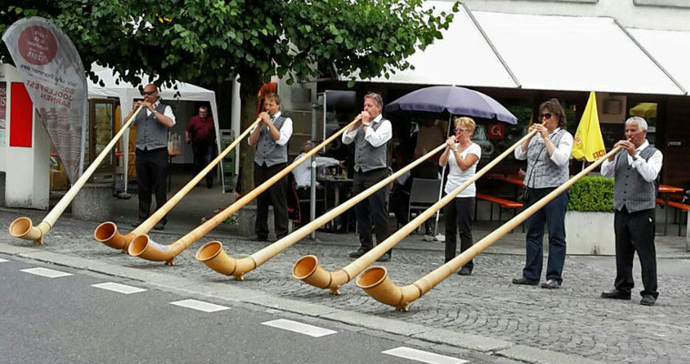 Strassenkonzert Bläser/Innen Alphorners 