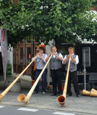 Trio TAF, Anina, Felix und Thomas