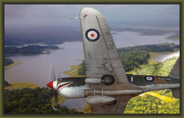 "Baywatch" P-40E Kittyhawk / 1:48 Completion