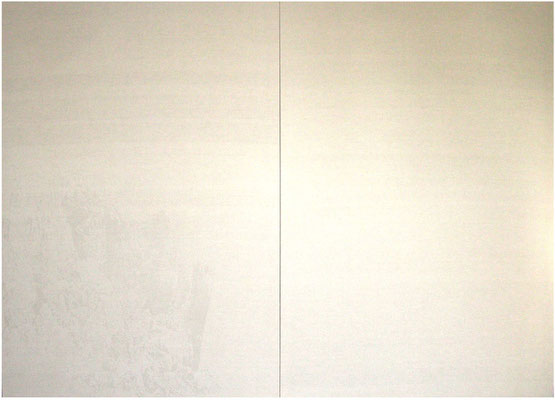 <b>Landschaft 5</b><br />2008<br />Sepiatusche und Acryllack auf Leinen<br />190 cm x 280 cm
