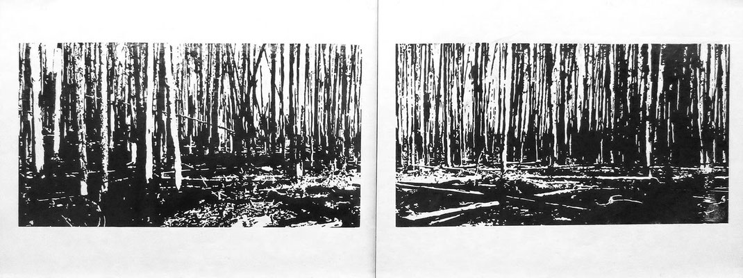 <b>Wald</b><br />2020<br />Holzschnitt auf Japanpapier<br />  70 cm x 140 cm