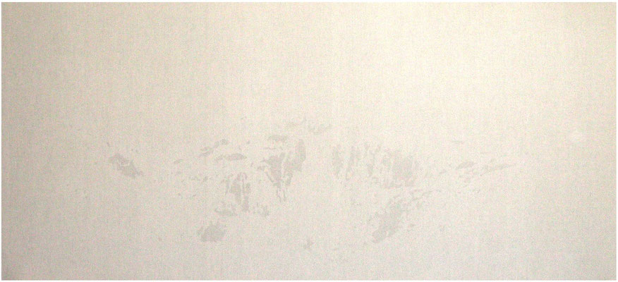 Landschaft 9<br />2009<br />Sepiatusche und Acryllack auf Leinen<br />100 cm x 230 cm
