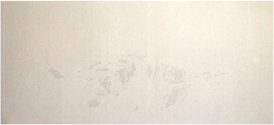 <b>Landschaft 9</b><br />2009<br />Sepiatusche und Acryllack auf Leinen<br />100 cm x 230 cm