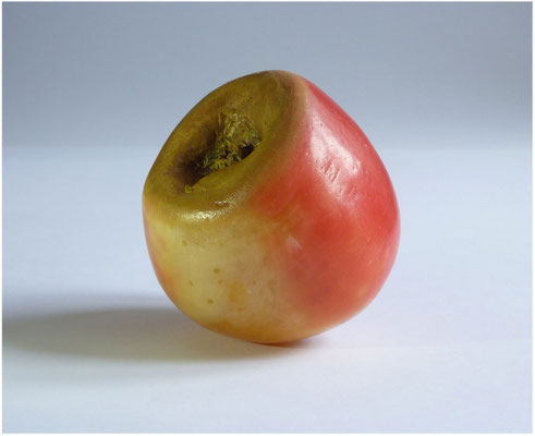 Wilhelm Tell<br>2014<br />Wachs, Wachsfarbe, Apfelstiel<br />7 cm x 7 cm x 8 cm
