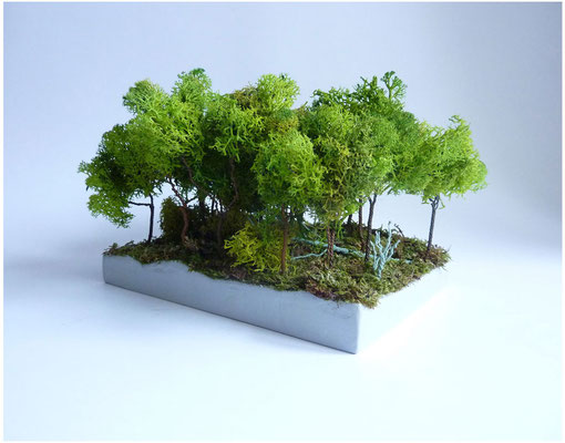<b>Wald</b><br />2015<br />Holz, Draht, Moos, Acrylfarbe, Styropor, Papiermaché<br />15 cm x 15 cm x 20 cm