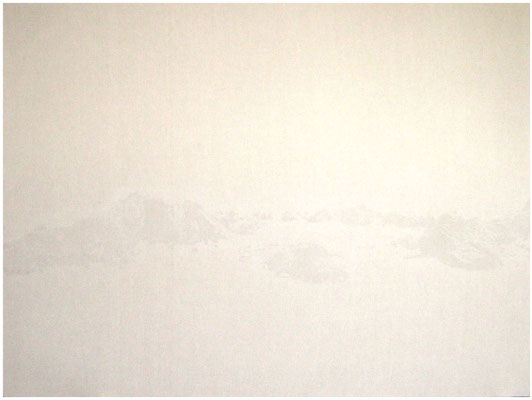 Landschaft 6<br />2008<br />Sepiatusche und Acryllack auf Leinen<br />150 cm x 200 cm