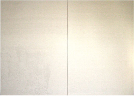 Landschaft 5<br />2008<br />Sepiatusche und Acryllack auf Leinen<br />190 cm x 280 cm