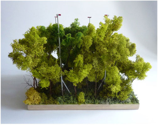 Schweizer Landschaft<br />2014<br />Holz, Draht, Moos, Acrylfarbe<br />30 cm x 30 cm x 25 cm