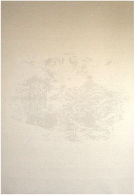 Landschaft 8<br />2009<br />Sepiatusche und Acryllack auf Leinen<br />200 cm x 140 cm