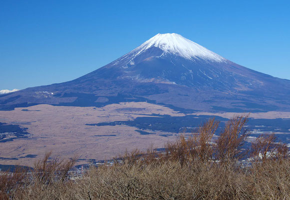 Pc壁紙 富士山 裾野市の富士山フリー素材です 裾野市観光協会公式ホームページ