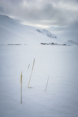 A short moment of good weather at our camp below the Hvammfjöll 