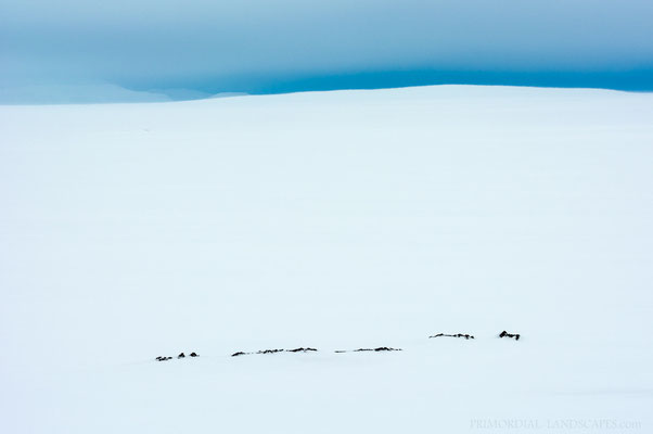 Sellönd: Wide views over pure snow, drowned lava and some mountains in the distance.