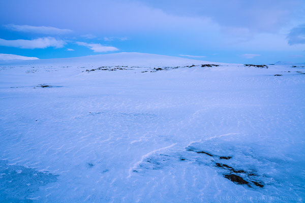 Icy Kollóttadyngja 