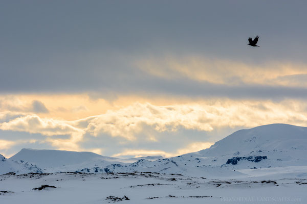 We nixed our initially plans to reach Askja and planned to head in the direction of Herðubreið instead. 