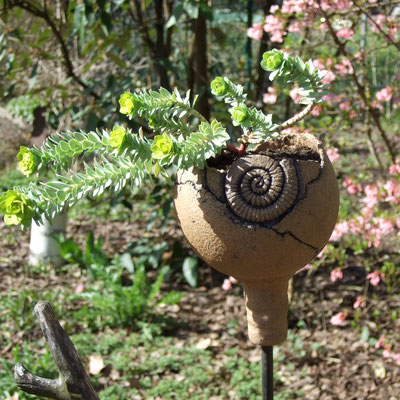 Keramik-Pflanzkugel "Ammonit", natur-braun mit dunklen Reliefs, matt, bepflanzt mit Walzenwolfsmilch;  lovely-cera ~ schöne Keramik-Kunst Nürnberg