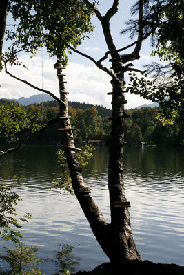 Badeplatz am Tüttensee