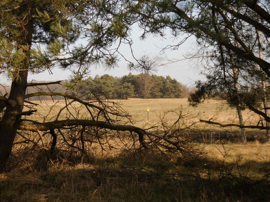 Wundebare Landschaft