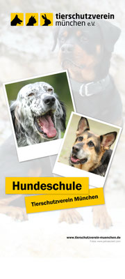 Rollup für die Hundeschule des Tierheim München 01/2016