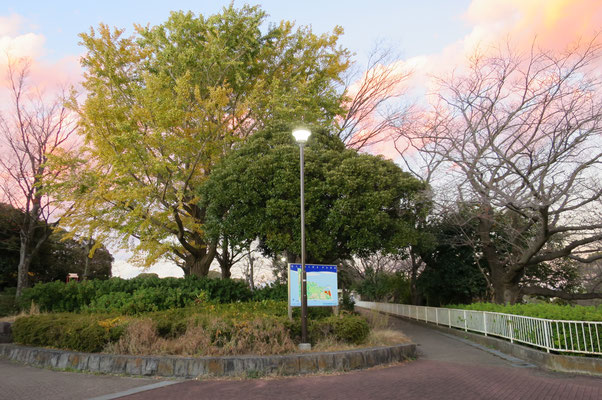 岸根公園③