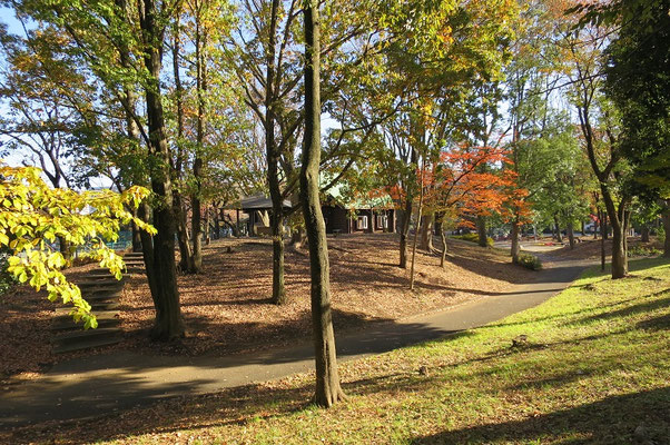 神大寺中央公園①