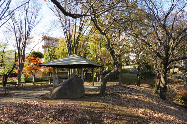 神大寺中央公園②