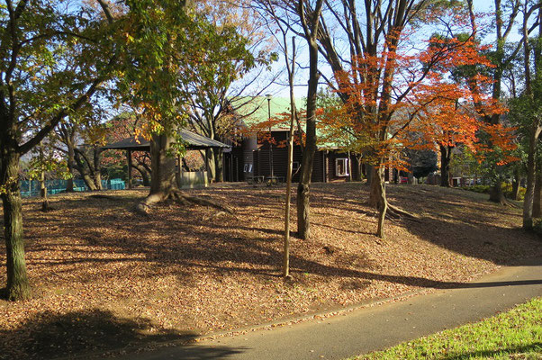 神大寺中央公園③