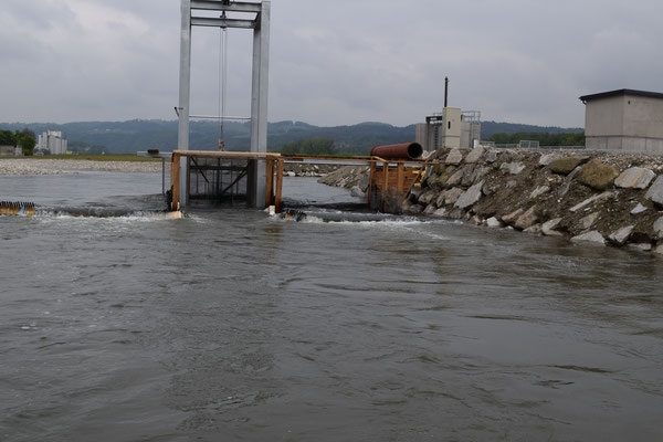 Reusenkonstruktion zum Ermitteln von den Fischwanderungen