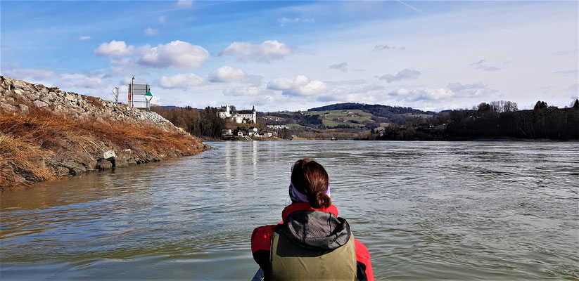 Kurz vor der Regattastrecke mit Blick auf Schloß Ottensheim