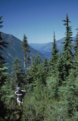 Wanderung am Flower-Ridge, im Hintergrund der Buttle Lake