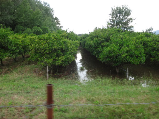 Ucinj Hochwasser