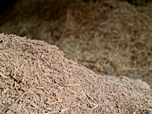 Miscanthus in gehäckselter Form