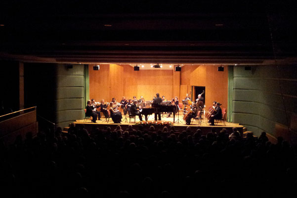 Milli Reasürans Chamber Orchestra Istanbul; Reinhard Seehafer, piano; Roberto Gianola, conductor