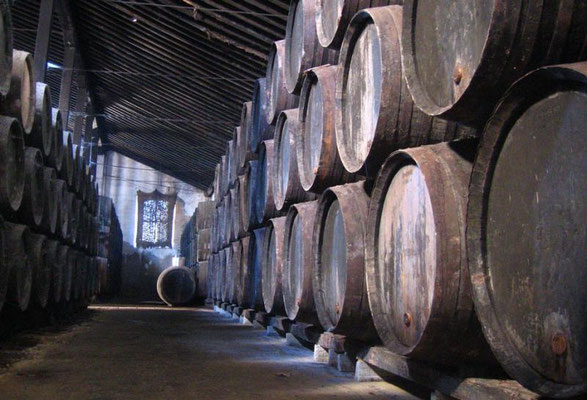 Visita a las bodegas Chiclana
