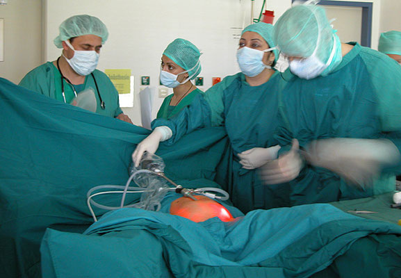 Bremen Op-Foto ©Nicole Buczior