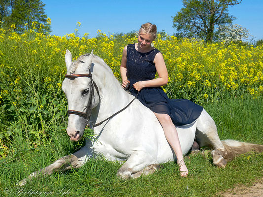 Schimmel liegend mit Reiter
