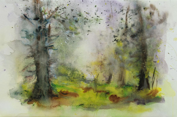 Aquarelle originale d'un sous bois