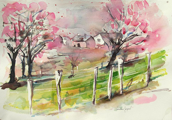 Aquarelle originale de cerisiers en fleurs