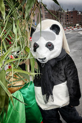 Panda