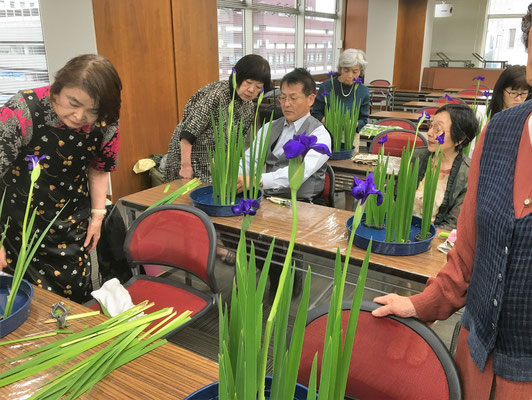 燕子花（カキツバタ）自然盛花　様式本位　夏の挿法（五株いけ）