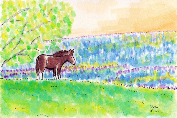『早春の馬』