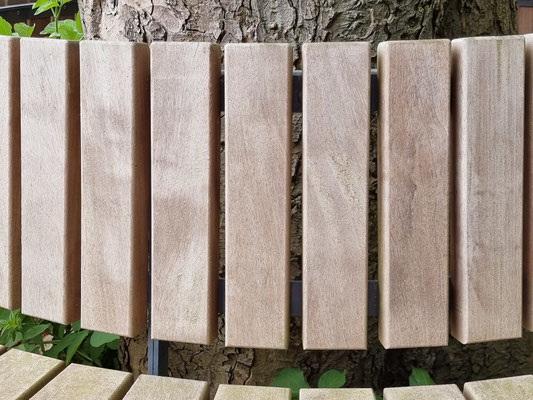 Plural Tree Bench