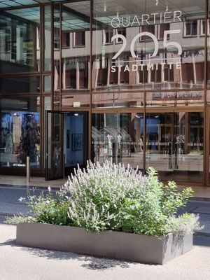 Opera Planter
