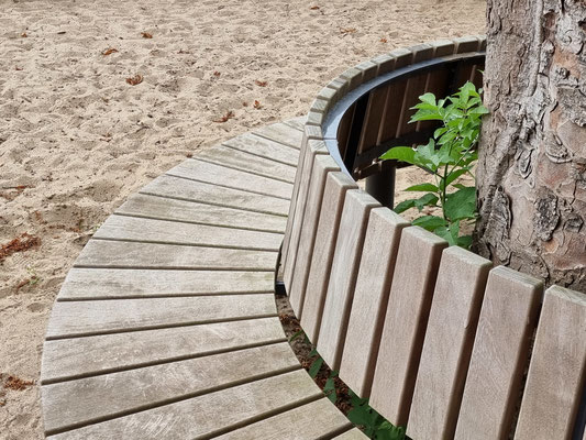 Plural Tree Bench