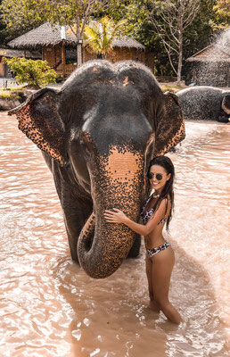 Ziemlich individuelles Baden mit thailändischen Elefanten