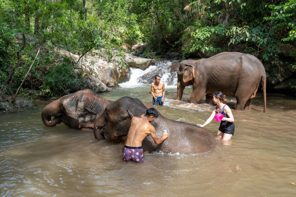 Deutsche Urlauber baden Elefanten im River Kwai, Kanchanaburi, Thailand