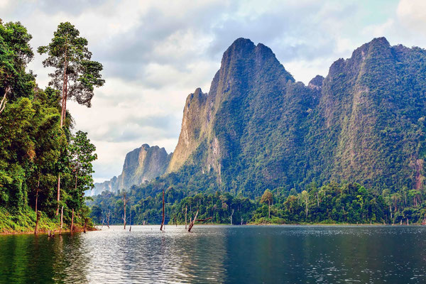 Kalksteinfelsen im Khao Sok Nationalpark