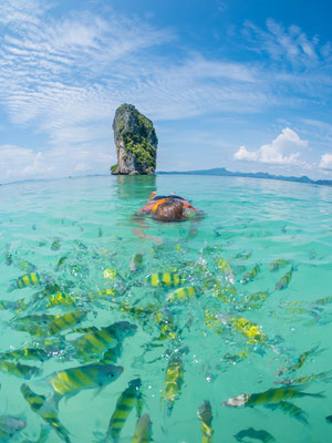 Spektakuläre Felsformationen, grüner Dschungel, Affen in den Bäumen, feiner, weicher Sand und ein fast schon kitschig türkisblaues Meer machen den Phra Nang Beach zum Wahrzeichen der Urlaubsregion Krabi.