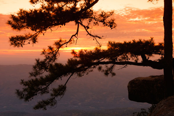 Phukradung Nationalpark in Loei